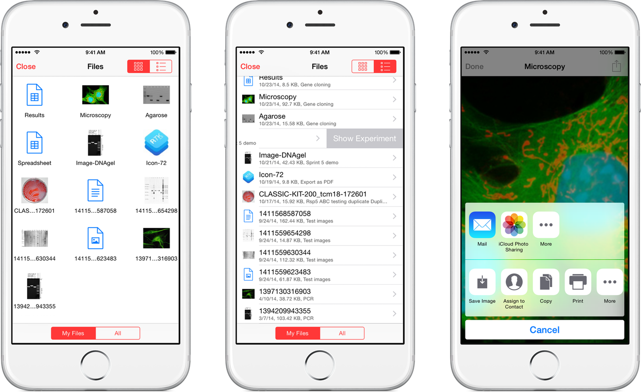 Hivebench on iPhone: Files as grid and list, exporting data
